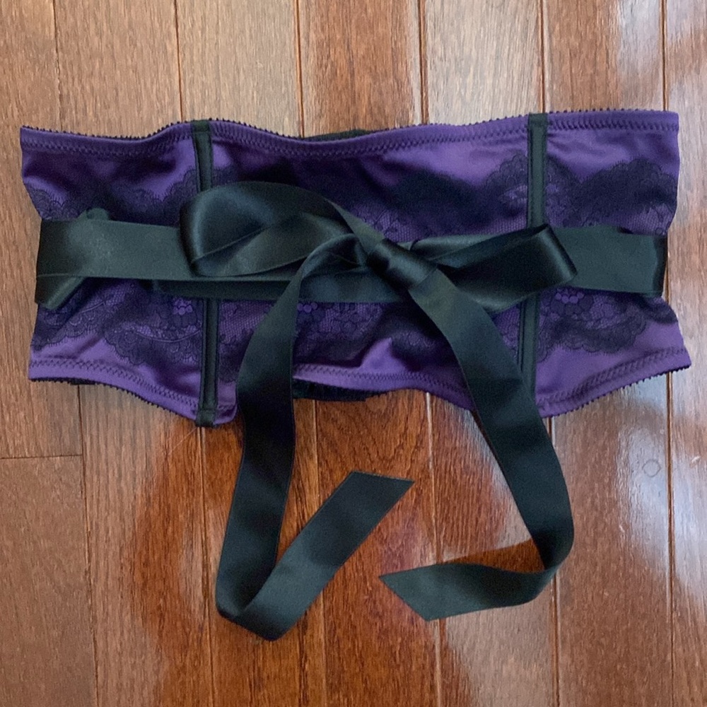 Chantelle Paris Waist Cincher/Garter Belt - Picture 7 of 12